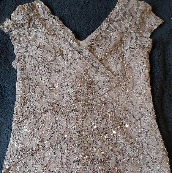EUC Lace and Sequin Dress - Picture 3 of 9